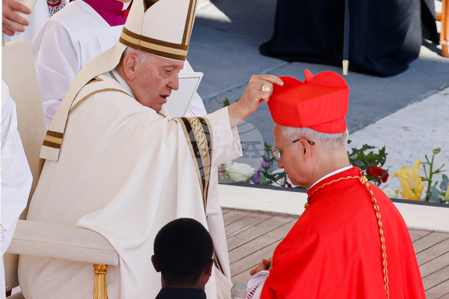 Vatican 6 Months of Leo