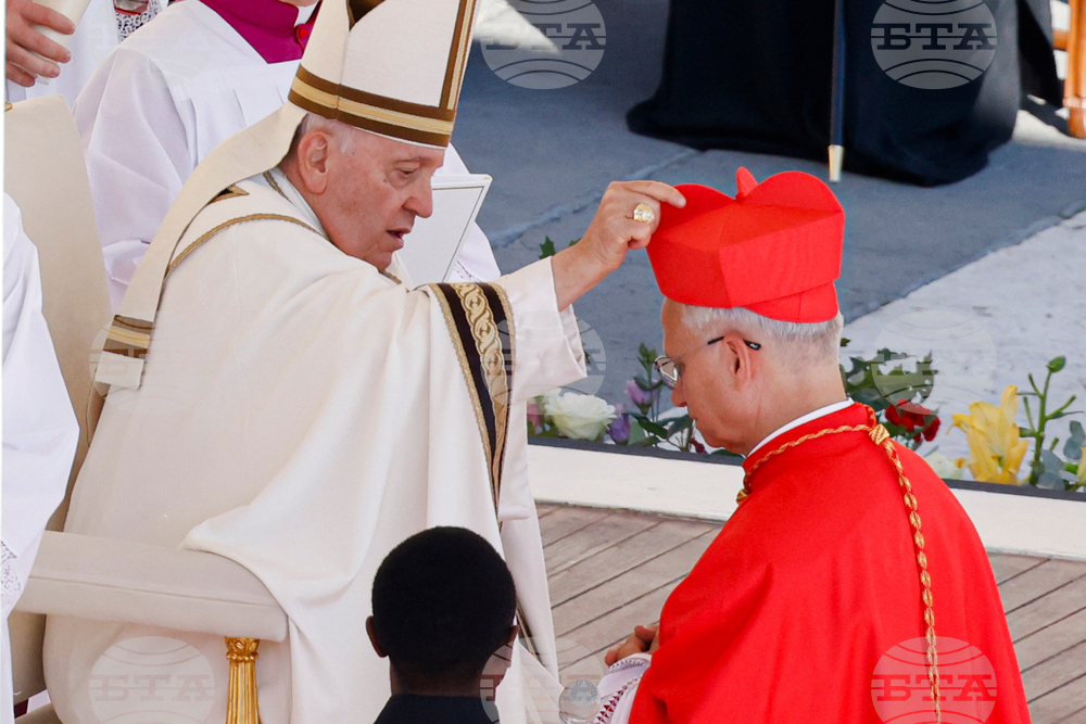 Vatican 6 Months of Leo