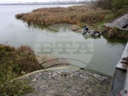 Бургас - катастрофа - загинали