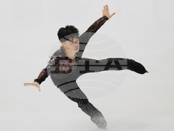 Japan Figure Skating