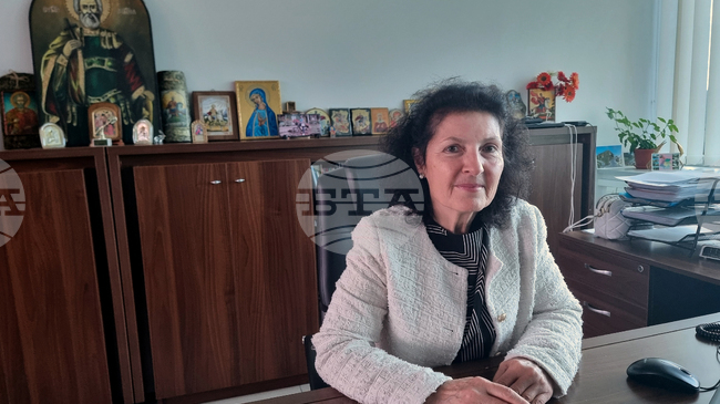 Над 75 са електронните услуги на НОИ, малка част се ползват активно от гражданите, каза директорът на поделението в Плевен Галина Станимирова