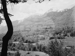 Архив - Национален парк “Пирин” - създаване