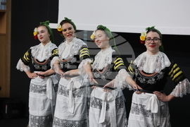 АБФСЧ - семинар