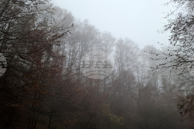 Лоши са условията за туризъм в планините, съобщиха от Планинската спасителна служба на Българския Червен кръст