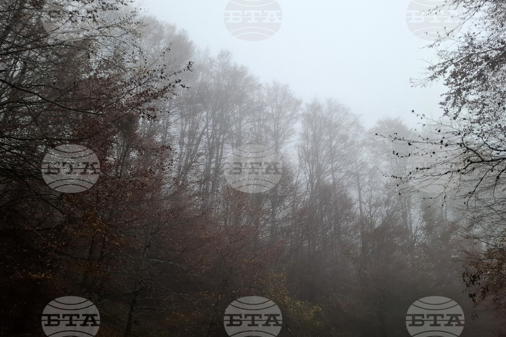 Проход Петрохан - мъгла - трафик