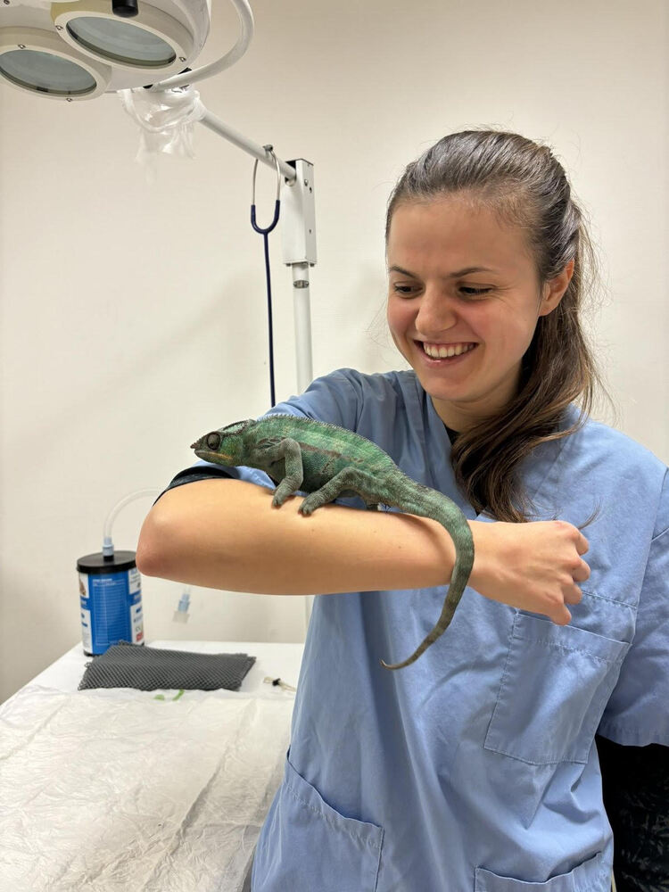 Д-р Виолет Мекхазни: „Ако България приеме специализациите, тя може да изпревари съседните страни“