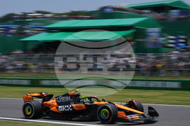 Brazil F1 GP Auto Racing