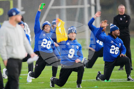 Germany Colts Football