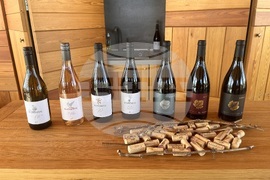 Винен тур в Долината на Струма