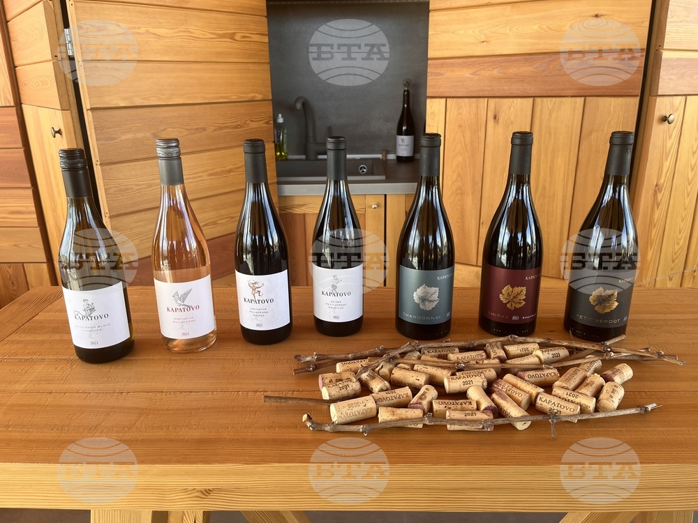 Винен тур в Долината на Струма