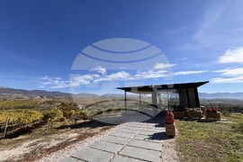 Винен тур в Долината на Струма