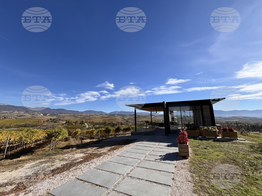 Винен тур в Долината на Струма