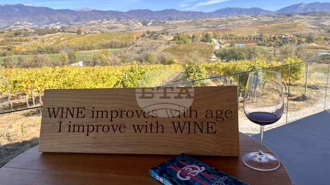 Долината на Струма е свързана с гроздето и виното още от древността, а в наши дни е един от пионерите на винения туризъм у нас