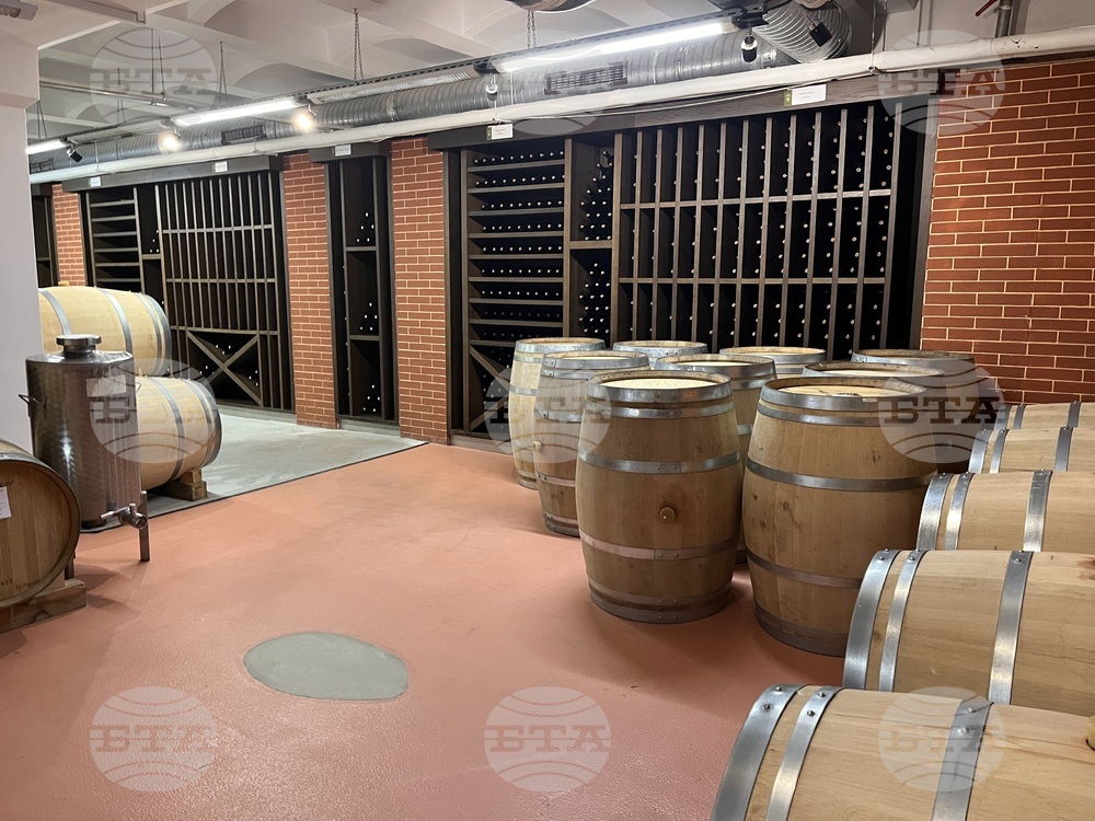 Винен тур в Долината на Струма