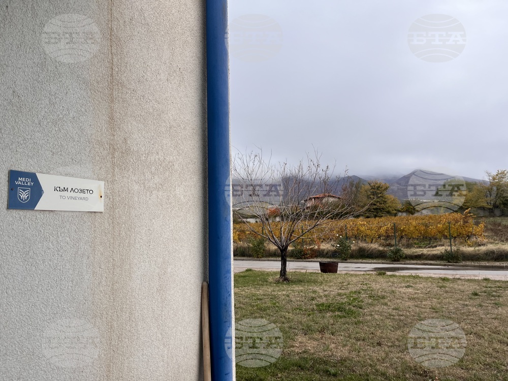 Винен тур в Долината на Струма