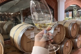 Винен тур в Долината на Струма