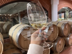 Винен тур в Долината на Струма