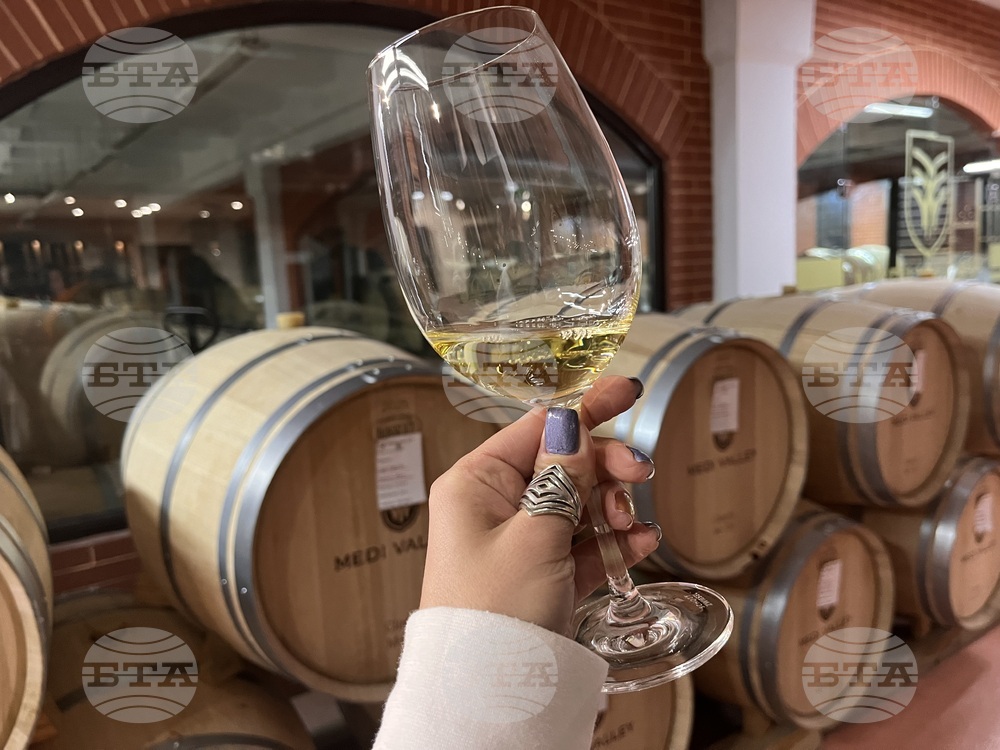 Винен тур в Долината на Струма