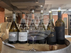 Винен тур в Долината на Струма