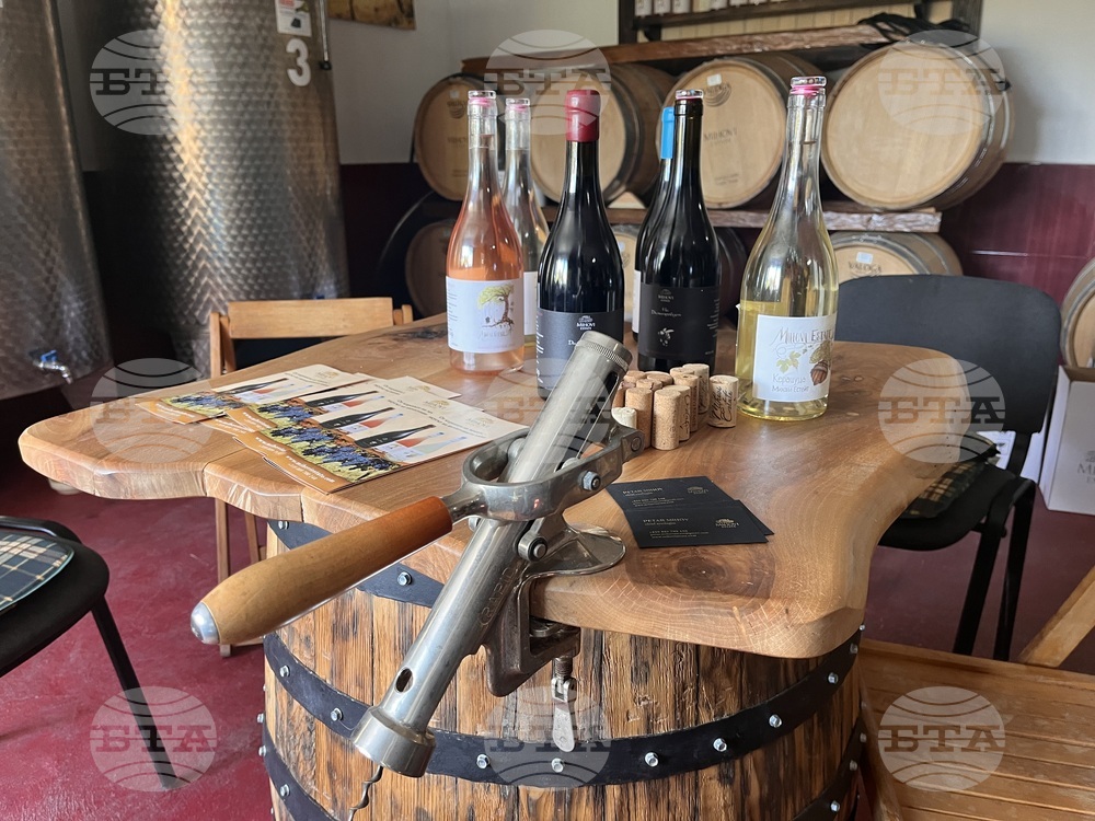 Винен тур в Долината на Струма