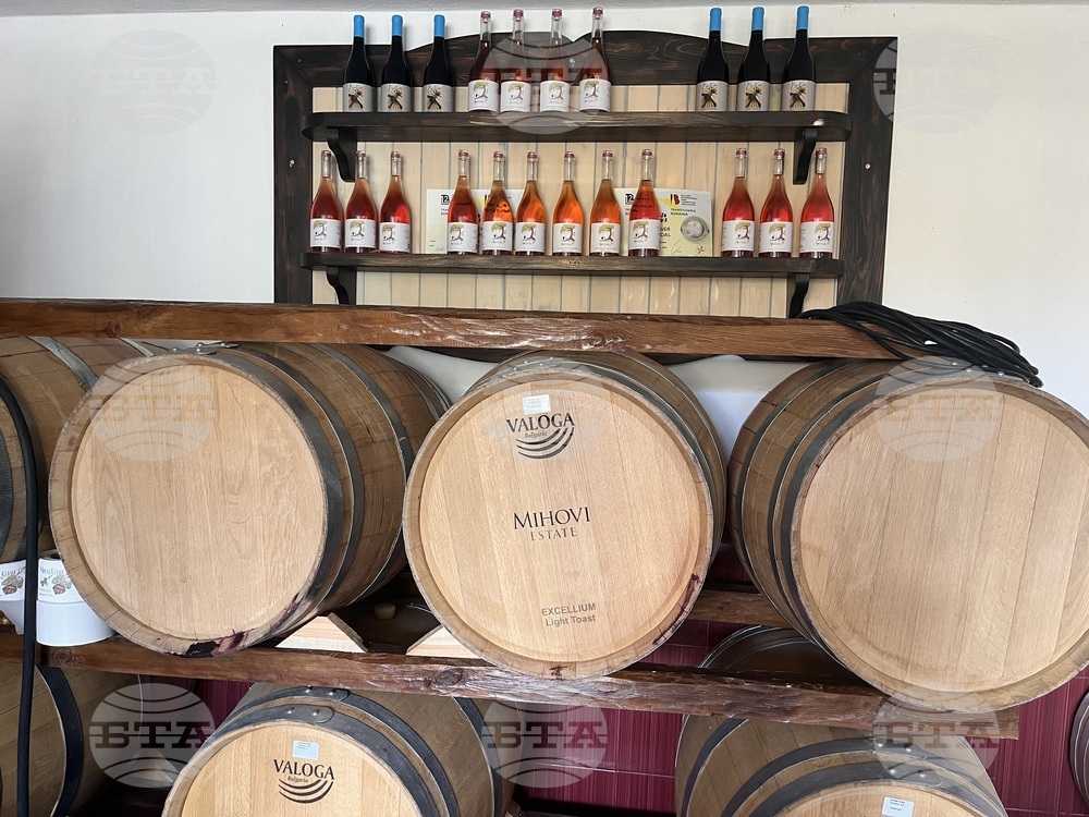 Винен тур в Долината на Струма