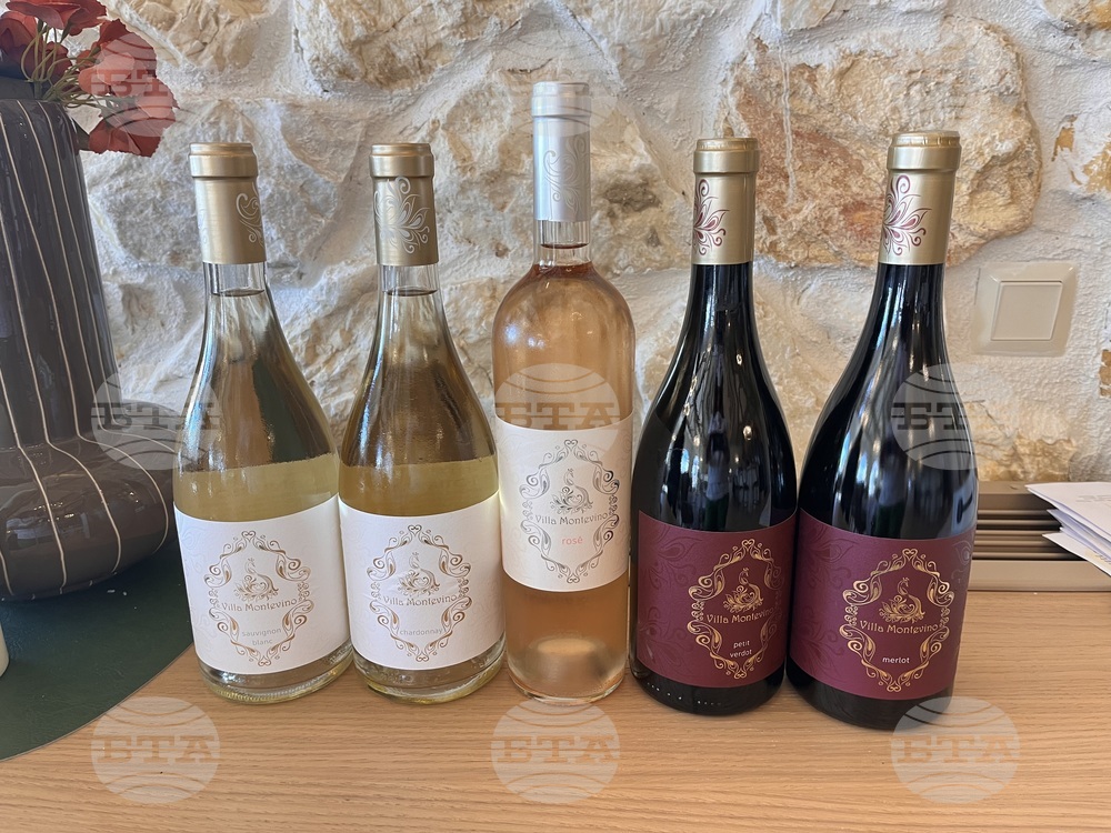 Винен тур в Долината на Струма