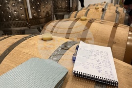 Винен тур в Долината на Струма