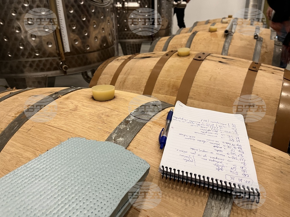 Винен тур в Долината на Струма