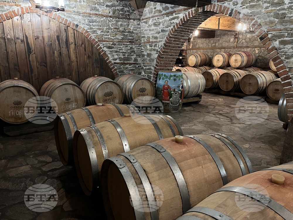 Винен тур в Долината на Струма