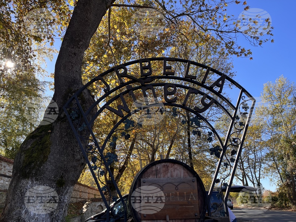 Винен тур в Долината на Струма