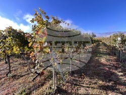 Винен тур в Долината на Струма