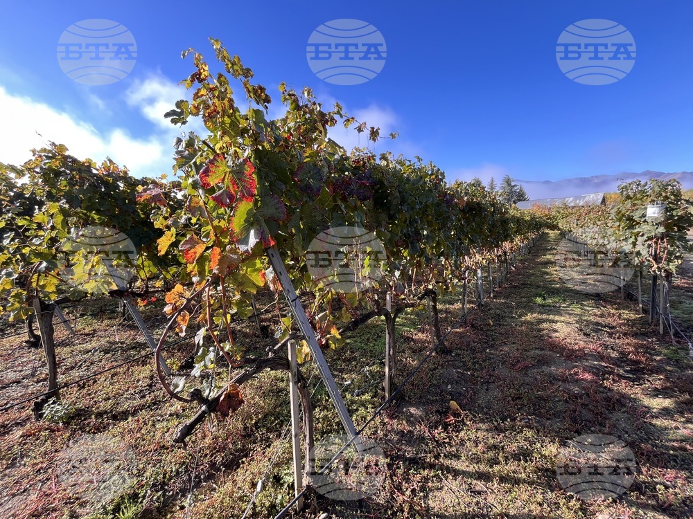 Винен тур в Долината на Струма