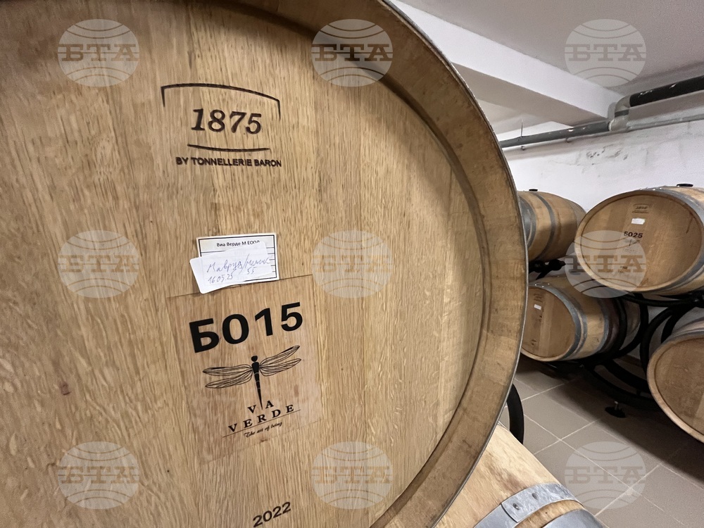 Винен тур в Долината на Струма