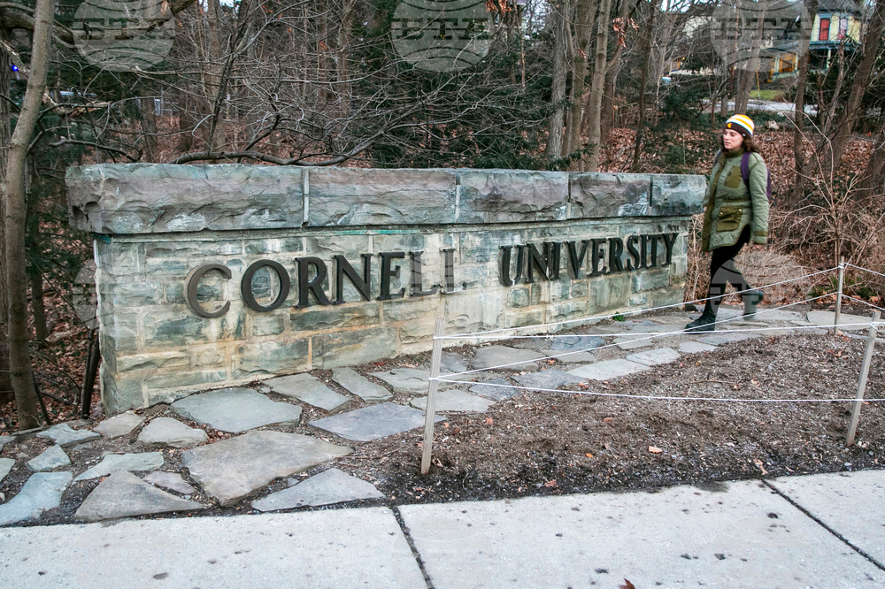 Trump Education Cornell