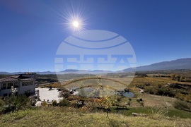 Винен тур в Долината на Струма