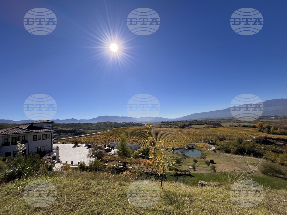 Винен тур в Долината на Струма