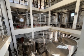 Винен тур в Долината на Струма