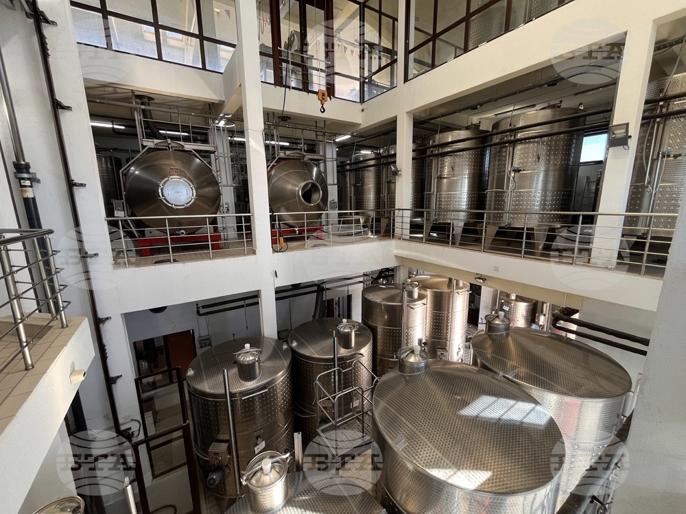 Винен тур в Долината на Струма