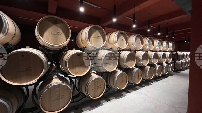 Bulgarian Winemaking Sector Modernizing, Agency Chief Says