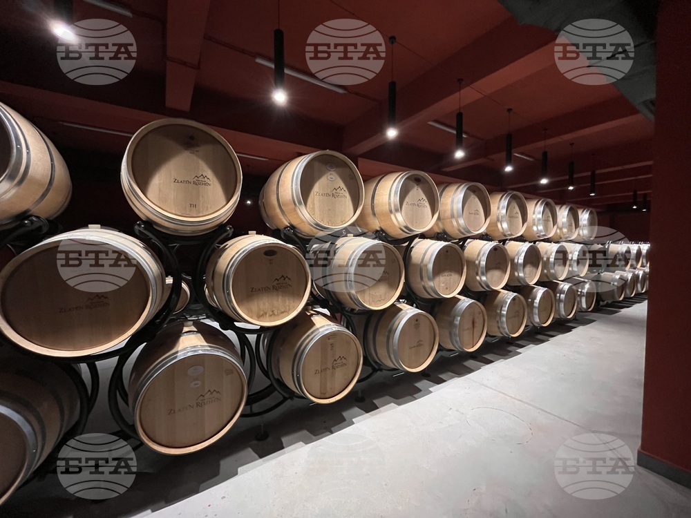 Bulgarian Winemaking Sector Modernizing, Agency Chief Says