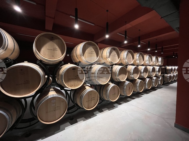 Bulgarian Winemaking Sector Modernizing, Agency Chief Says