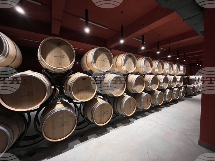 Bulgarian Winemaking Sector Modernizing, Agency Chief Says