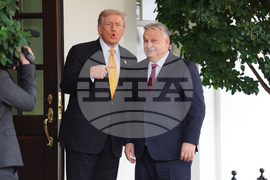 Trump US Hungary
