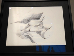 Турция - Истанбул - Джеймс Камерън - изложба