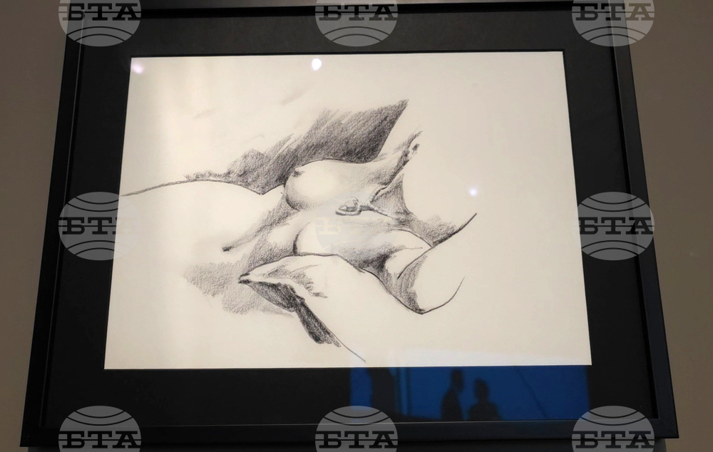 Турция - Истанбул - Джеймс Камерън - изложба