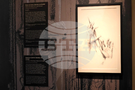 Турция - Истанбул - Джеймс Камерън - изложба