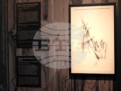 Турция - Истанбул - Джеймс Камерън - изложба