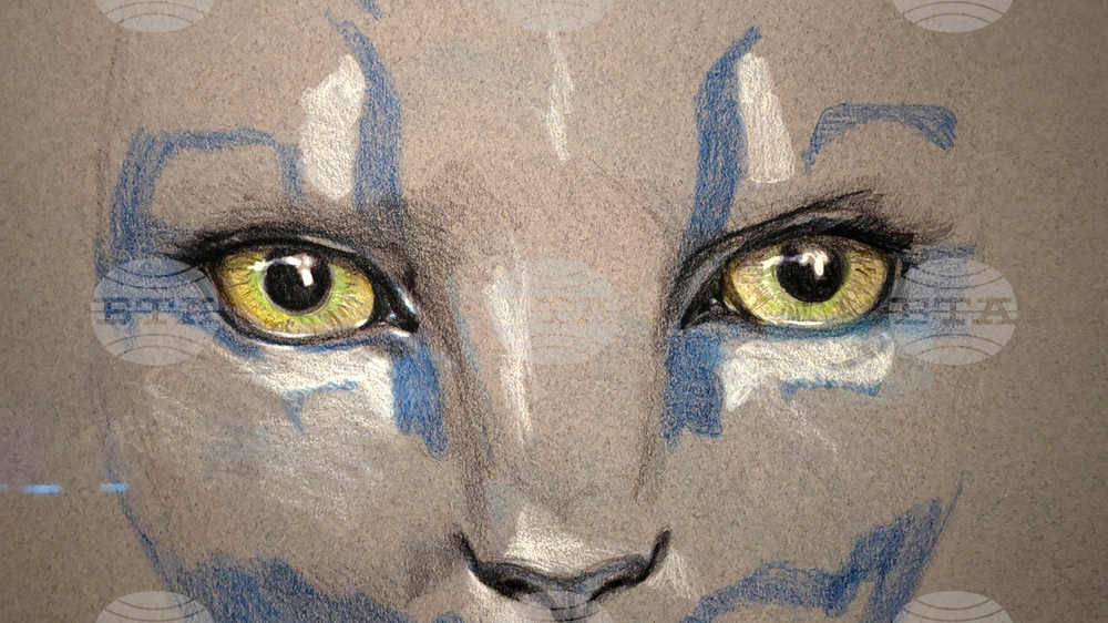 Турция - Истанбул - Джеймс Камерън - изложба