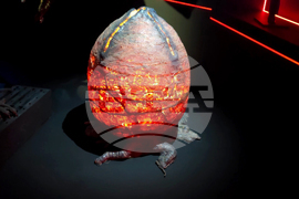 Турция - Истанбул - Джеймс Камерън - изложба