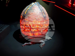 Турция - Истанбул - Джеймс Камерън - изложба